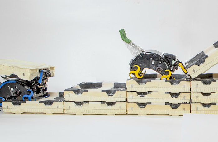 Termes : Des robots constructeurs sur le modèle animal de la termite